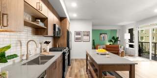 Modera Overlake Gallery 2