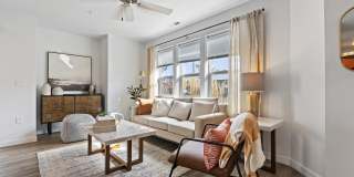 Amazon Falls Gallery 8