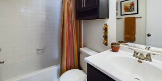 Raintree Apartments Gallery 11