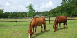 2003 United Drive Gallery 1