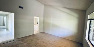 4328 Forest Oaks Drive Gallery 15