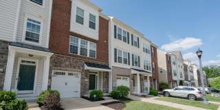 5004 FOREST PINES Drive Gallery 1