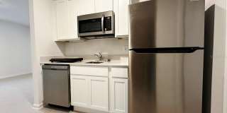 339 PUMA LOOP Gallery 24