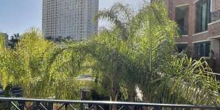 500 W Harbor Drive W Gallery 12