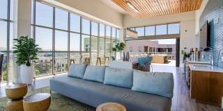 Vive on the Park Gallery 26