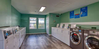 The Everett Gallery 19