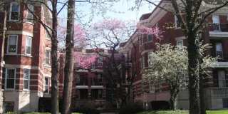 Charming Condo Walkable to Central West End-Washer Dryer in Unit Gallery 4