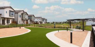 Collection Schertz Station Gallery 64