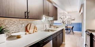 Elm at Panorama Gallery 4