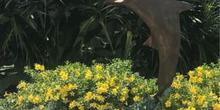 216 Banyan Blvd unit: 216 Gallery 15