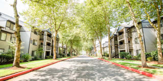 Signature Pointe Gallery 30