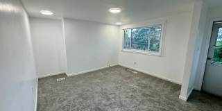 Charming 3 Bed 1 Bath Home! Recently Updated! Gallery 9