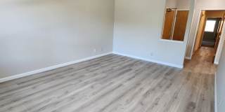 1970 Bush Street 1970 Bush Street Gallery 5