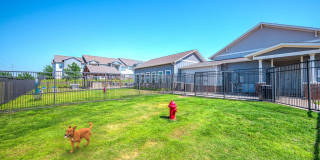 Boulevard at Lakeside Gallery 27