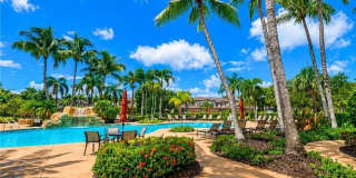 817 Regency Reserve Cir Gallery 33