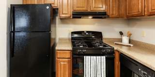 The Meadows Gallery 1