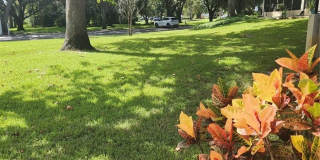 2897 THAXTON DRIVE Gallery 1