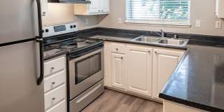 Black Lake Gallery 14