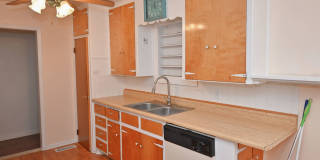 4 Bed 3.5 Bath in University Park! Gallery 6