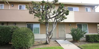 Newland Garden Gallery 9