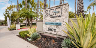 Sofi Canyon Hills Gallery 29