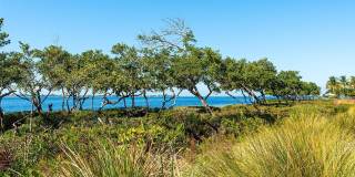 280 SAINT LUCIA DRIVE Gallery 39