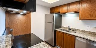 Beautifully Remodeled | 1 Bed · 1 Bath | Pet Friendly Gallery 11
