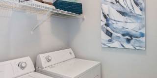 Mayfaire Apartments Gallery 23