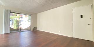 7010 Lanewood Avenue LLC Gallery 20