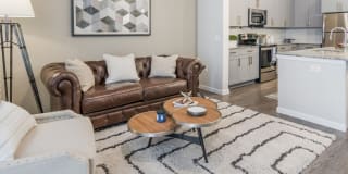 Cavalli at Iron Horse Station Gallery 1