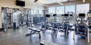 Element 47 by Windsor Gallery 7