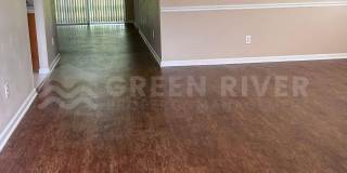 2522 WILLOW CREEK Drive Gallery 5