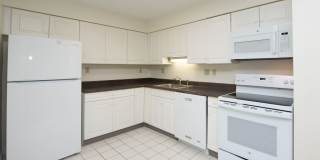 Chestnut Hill East Gallery 10