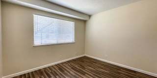 Summer Woods Gallery 31