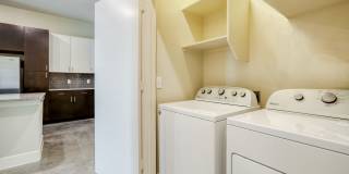 Eleven by Windsor Gallery 20