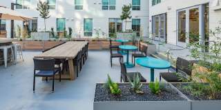 Eviva Midtown Gallery 6