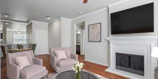 Vine South Gallery 19