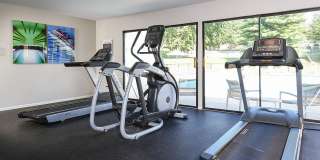 Stonecliffe Gallery 18