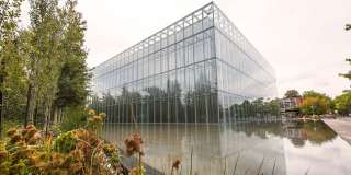 Broadway Place Gallery 14