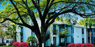 Aqua Bay Gallery 12