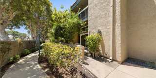 1028 Palo Verde Avenue Gallery 1