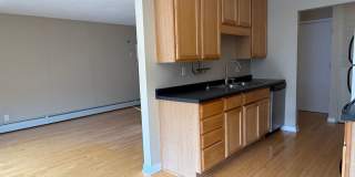 Lovely Lowry Hill 1 Bedroom Condo Gallery 11