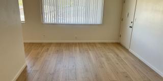 Maple 2 Gallery 18