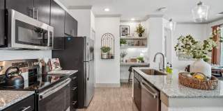 Paloma Luxury Apartments Paloma Luxury Apartments Gallery 1