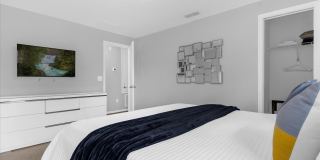 2933 BANANA PALM Drive Gallery 25