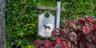 1666 C Road Gallery 1