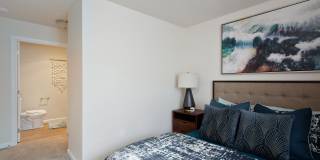 Millennium Park Gallery 15