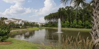 The Grove at Carolina Park Apartments Gallery 40