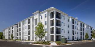 Douglas Grand at Telecom Parkway Gallery 14