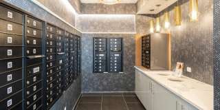 The Royal Bloomfield Gallery 16